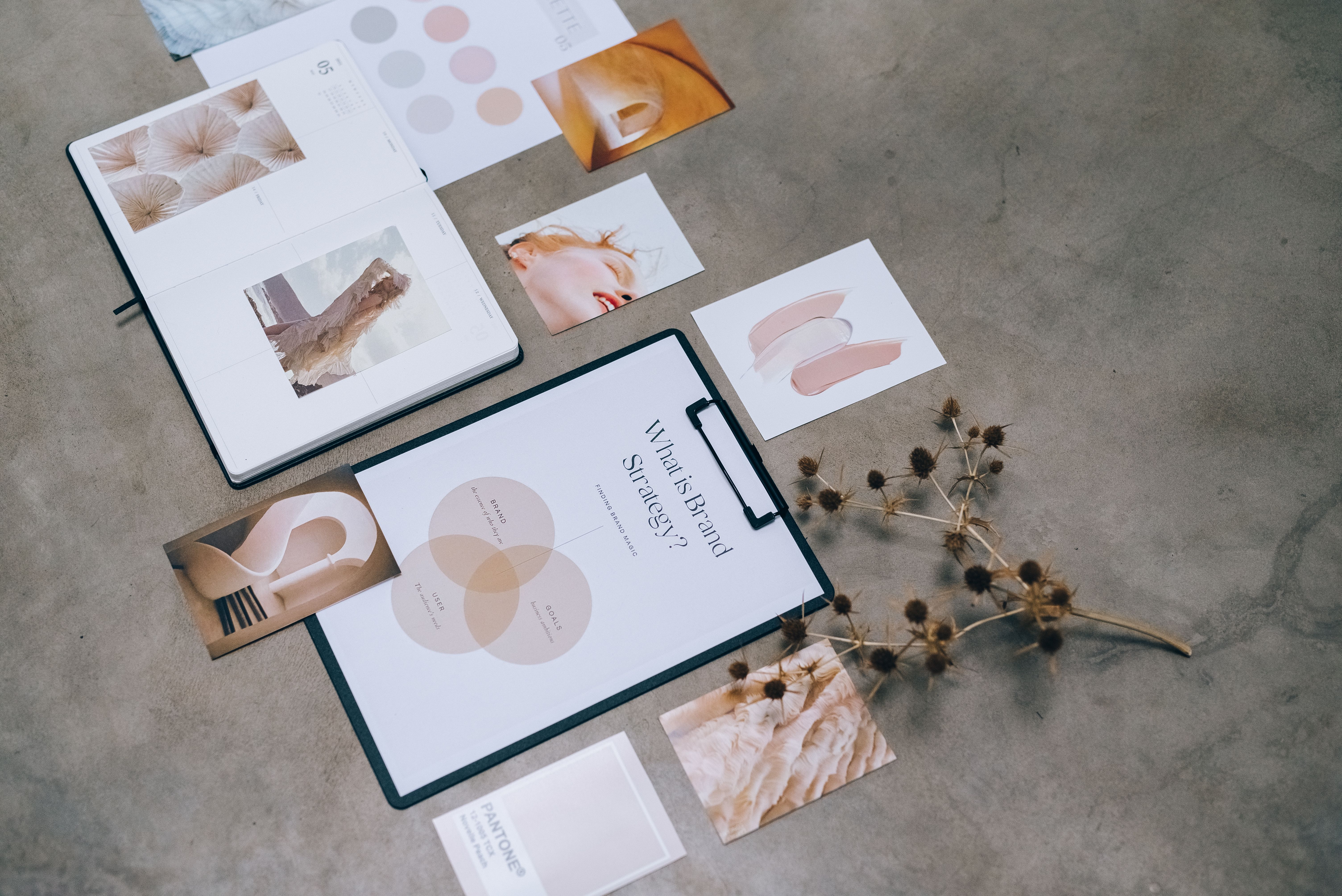 Brand development process